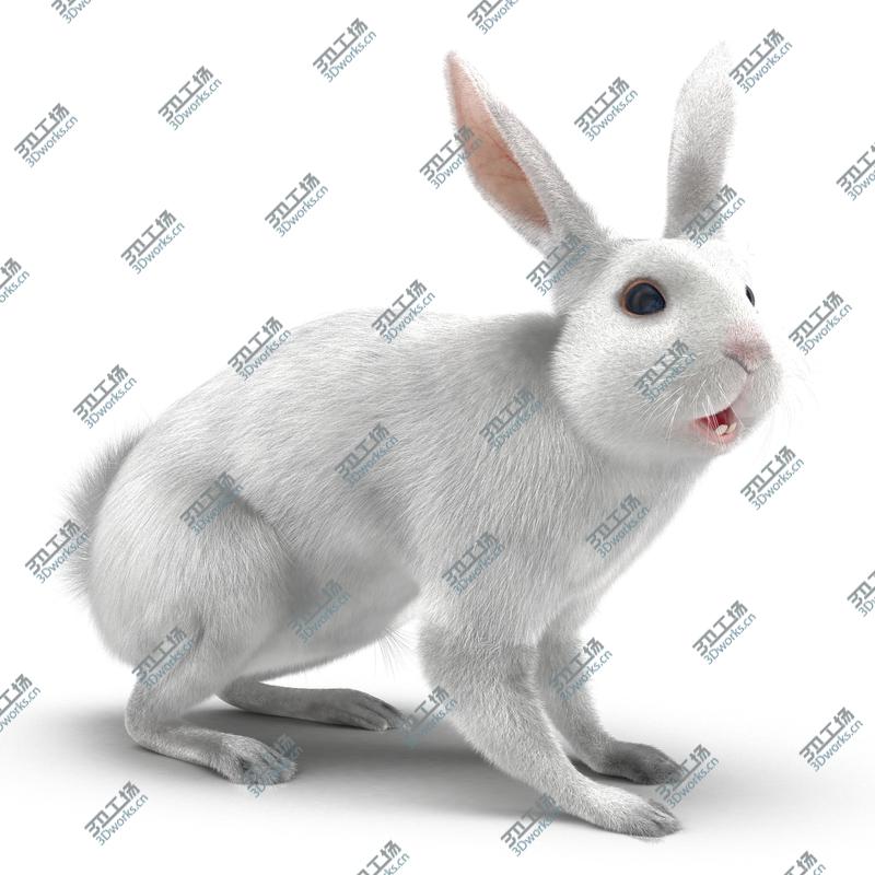 images/goods_img/2021040165/White Rabbit Rigged/2.jpg